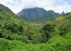 i Tahiti (37)